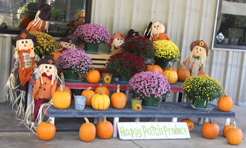 Fall Decor