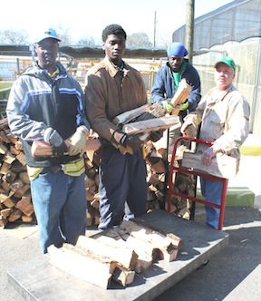 Firewood