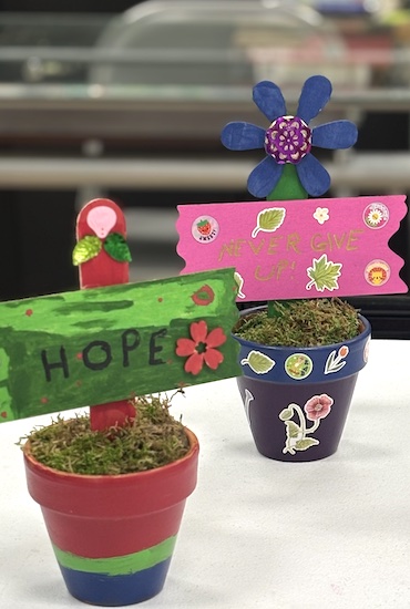Flowerpots B