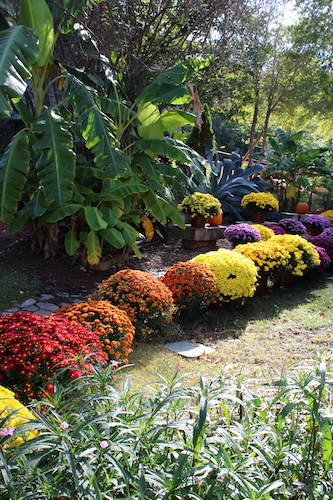 Garden Path 2