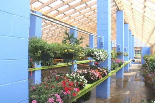 Greenhouse 2015 2