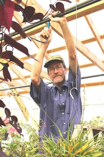 Greenhouse irrigation