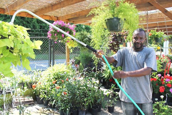 Grover Thornton watering