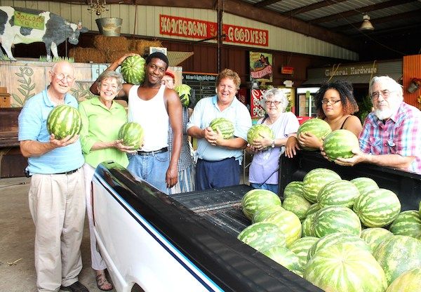 Harvest of Hope