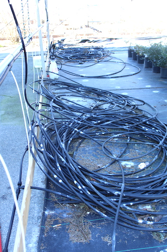 Market cables