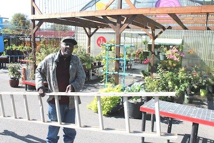 Mr. Willie Hard at Work