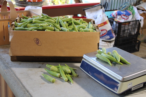 Okra cooking tips