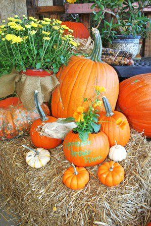 Pumpkins