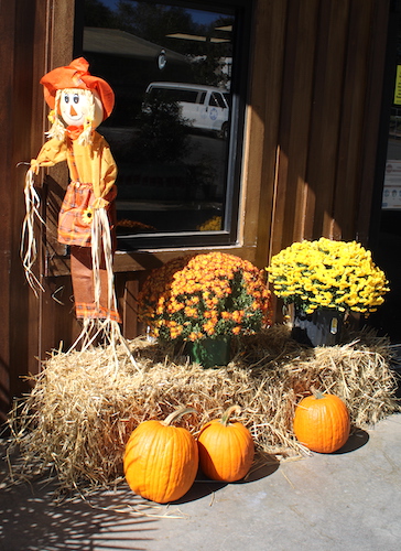 Scarecrow Greeter