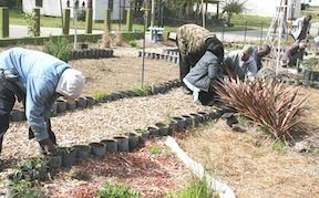 Spring Planting