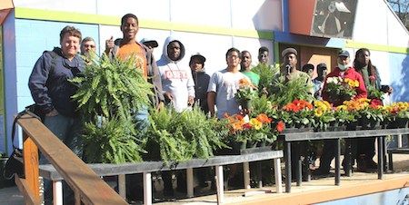 Spring plants 2016