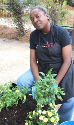 Strategic Plantings