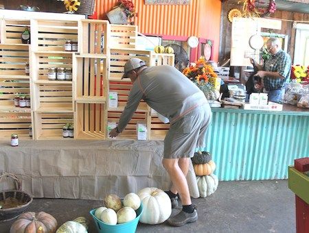 Stripling display
