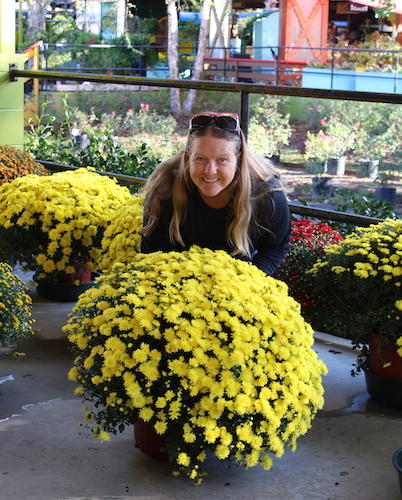 Susan Perry Childs Mums