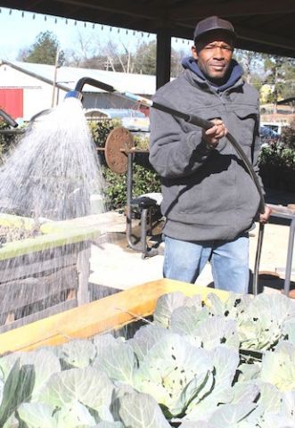 Winter watering
