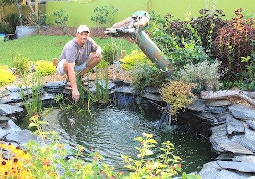 helping hands koi